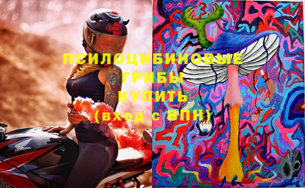 тгк Балахна